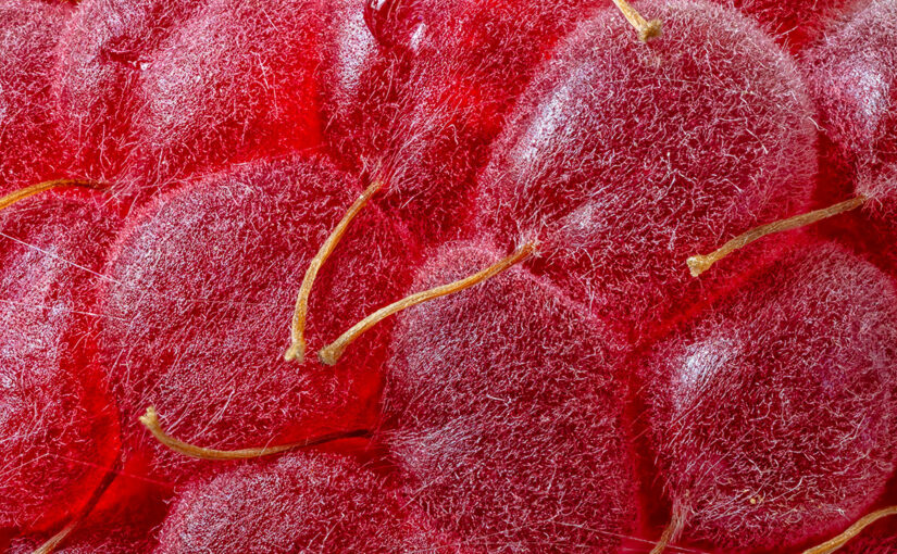 Aug 13 – Red and hairy