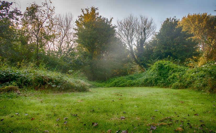 Sep 20 – Garden