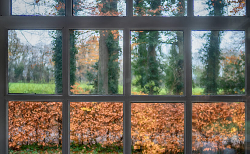 Nov 23 – Looking outside