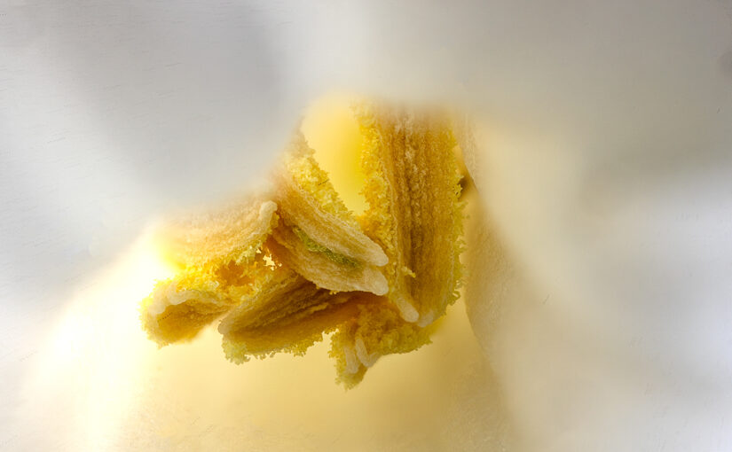 Dec 28 – Inside