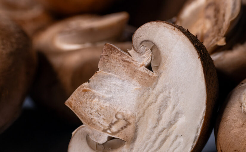 Dec 29 – Mushrooms