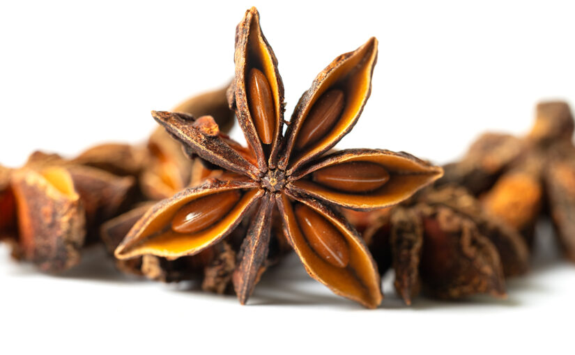 Jan 24 – Star