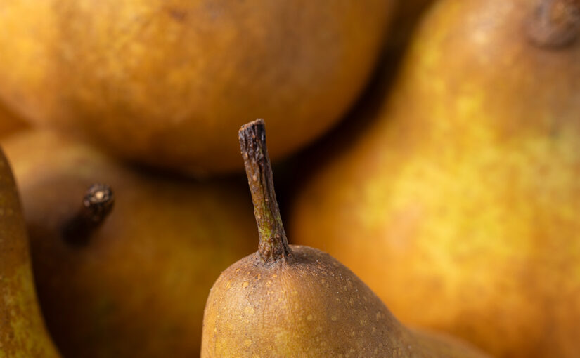 Jan 25 – Pears