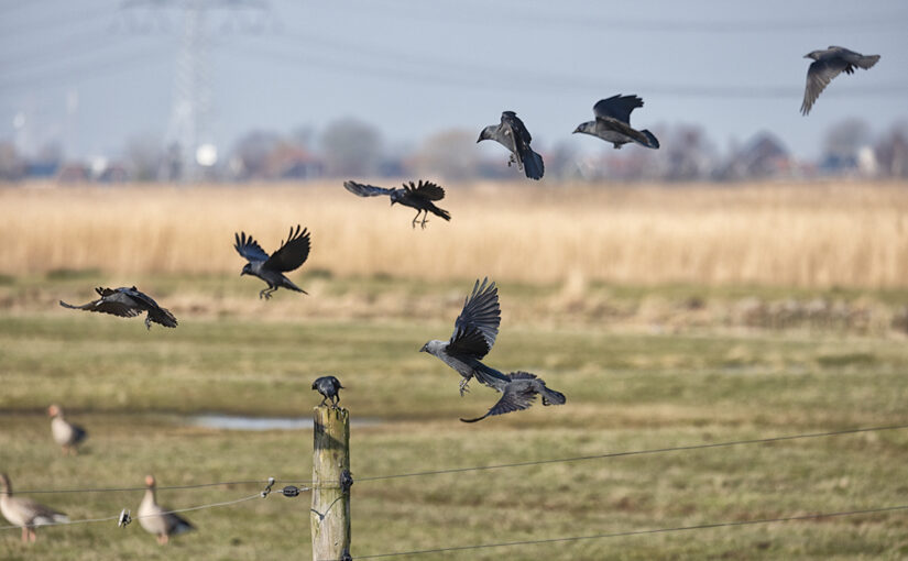 Mar 06 – In flight