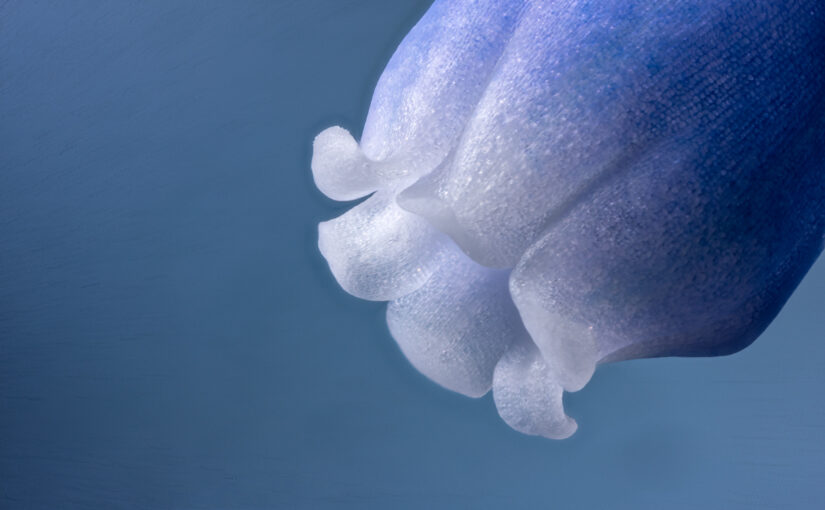 Mar 18 – Blue