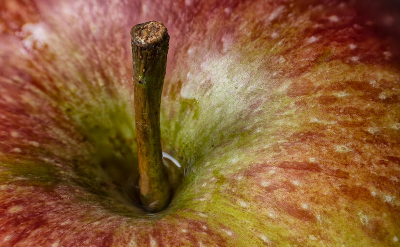 May 06 – Apple