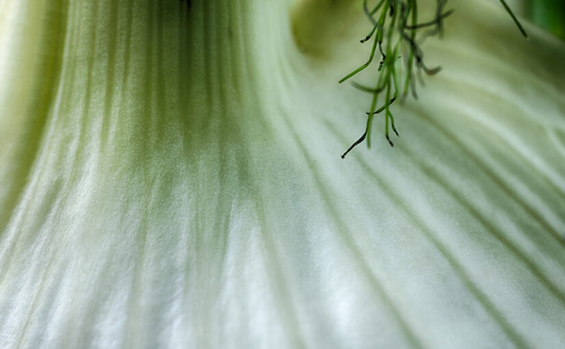 May 14 – Lines