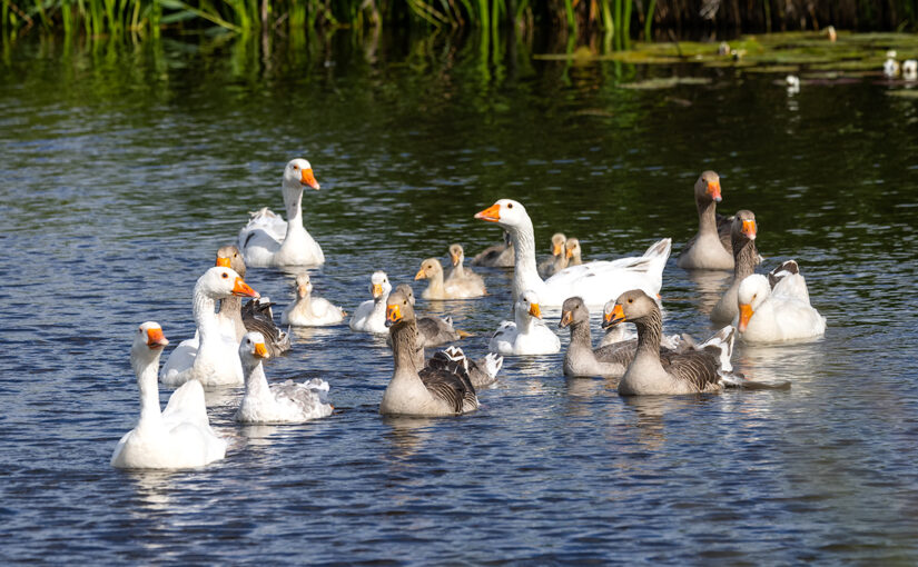 May 22 – The family