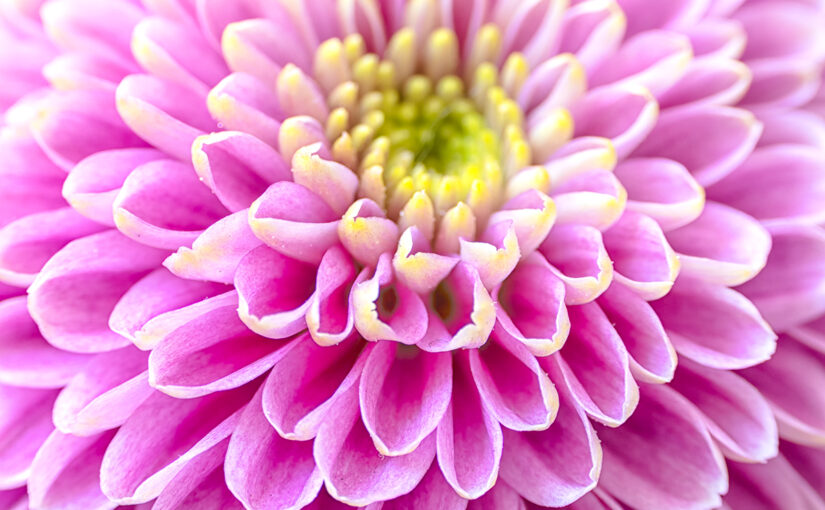 May 30 – Pattern