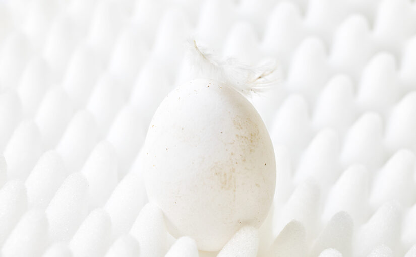 Jun 15 – Egg with feather