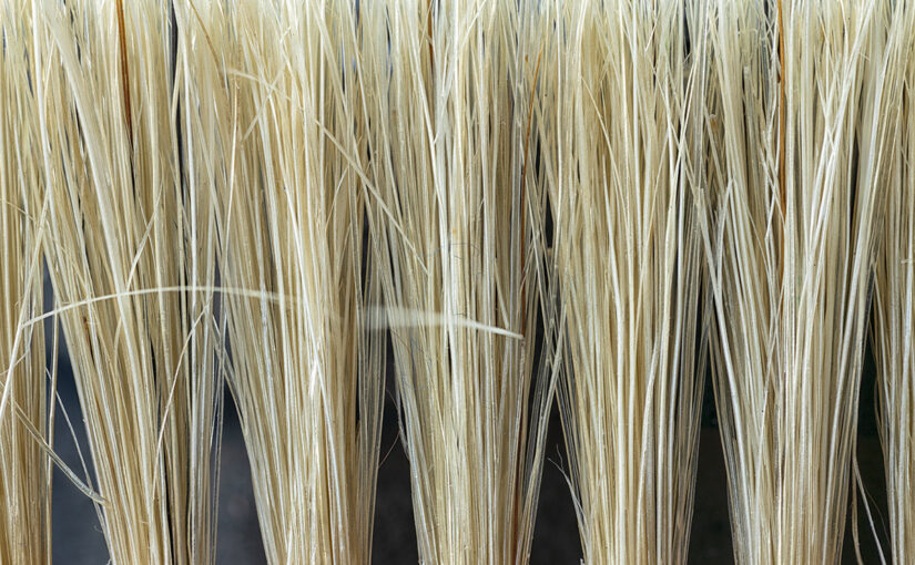 Detail of an old brush