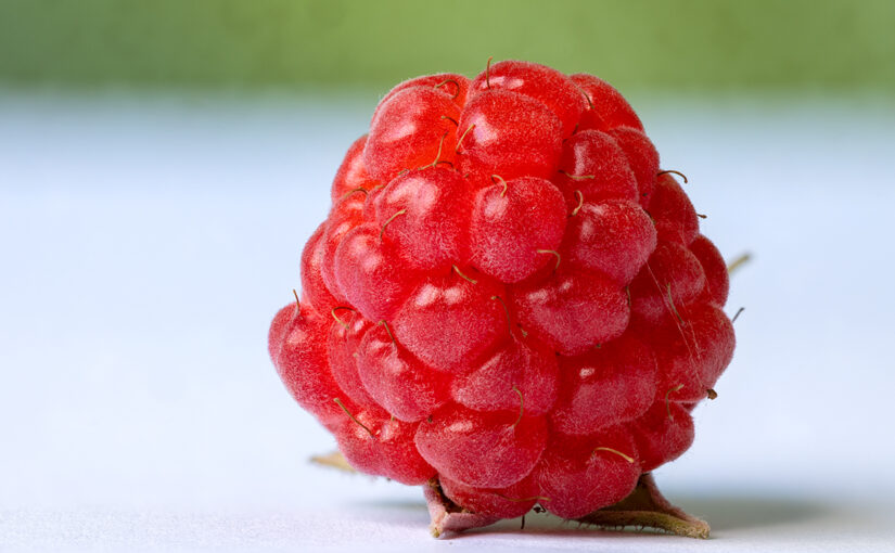 Aug 09 – Fruity