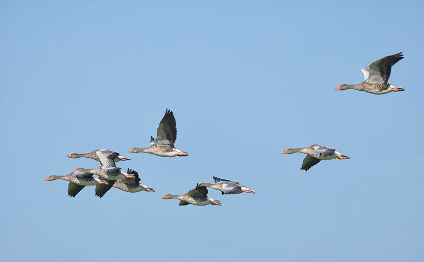 Aug 11 – In flight