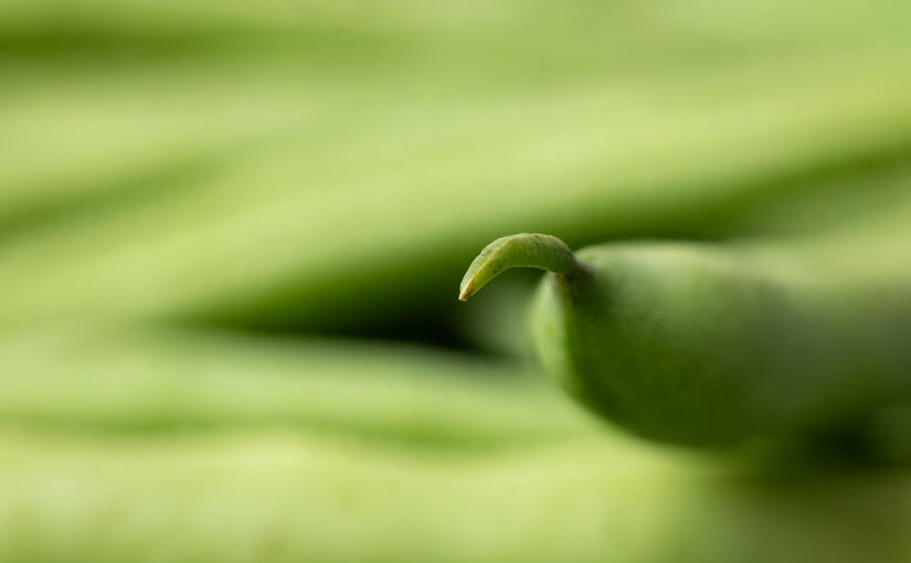 Aug 20 – Green