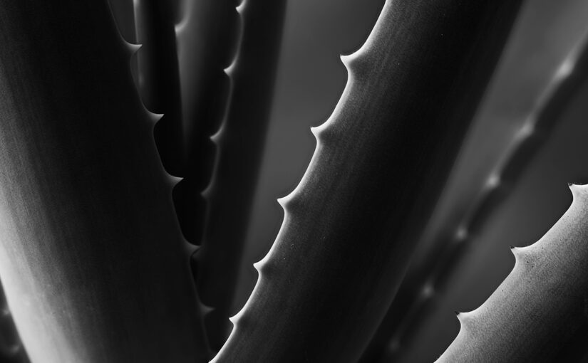Oct 21 – Spikey