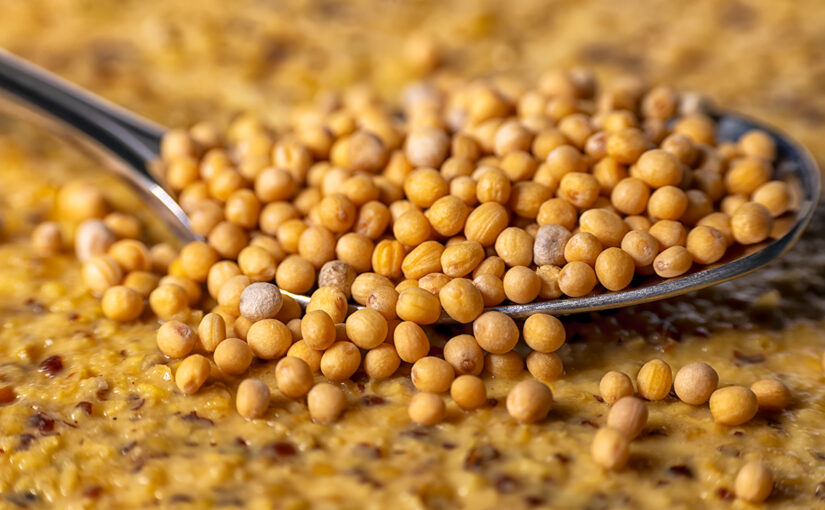 Dec 11 – Mustard
