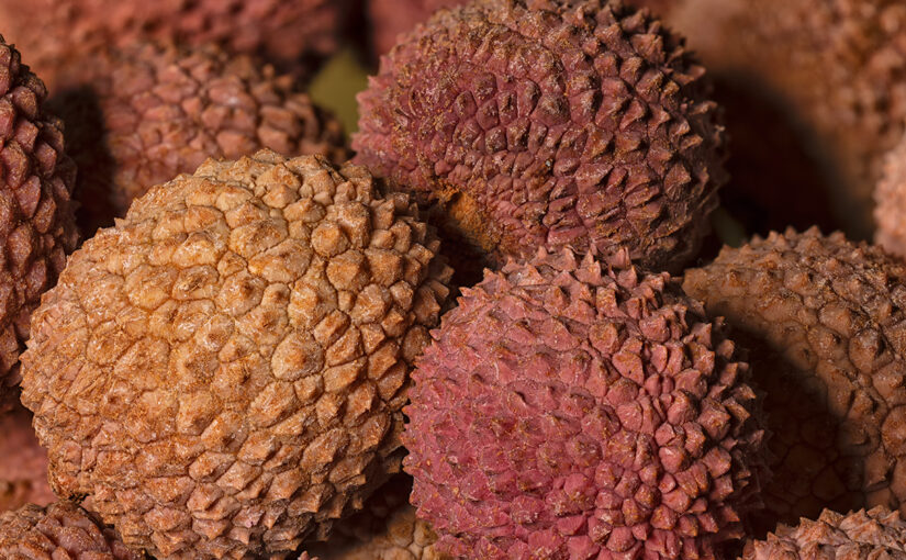 Dec 19 – Lychee