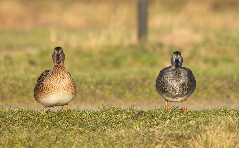Jan 22 – Posing
