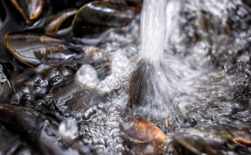 Jan 24 – Cleaning