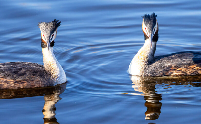 Mar 19 – Two