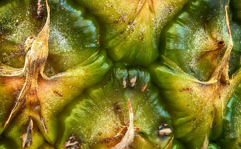 May 01 – Fruit