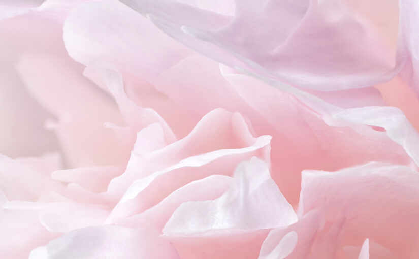 May 20 – Pink
