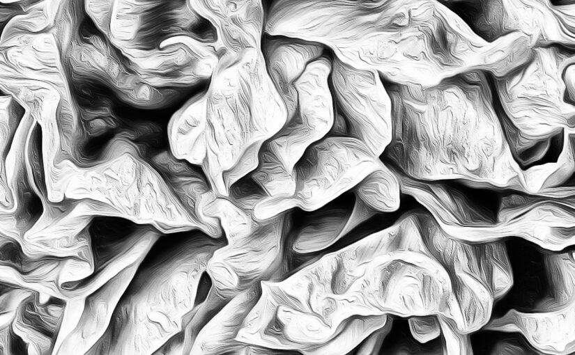 Jun 06 – Petals
