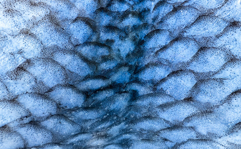 Jun 16 – Pattern