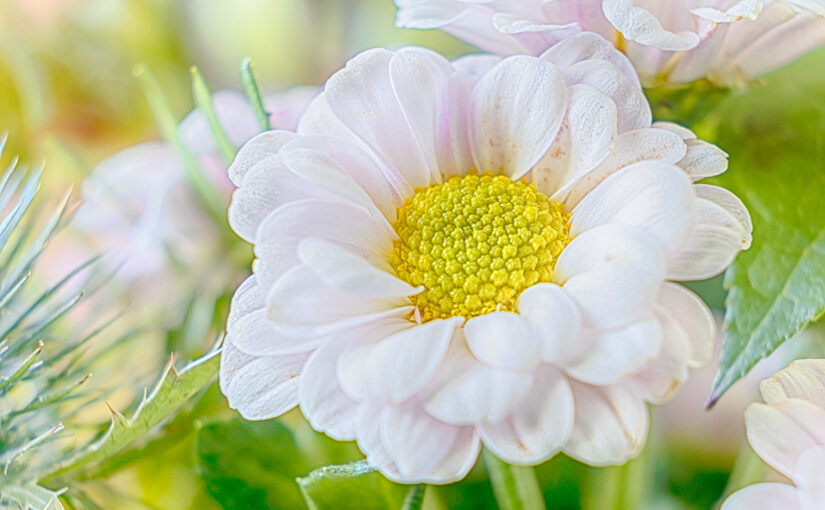 Part of a bouquet