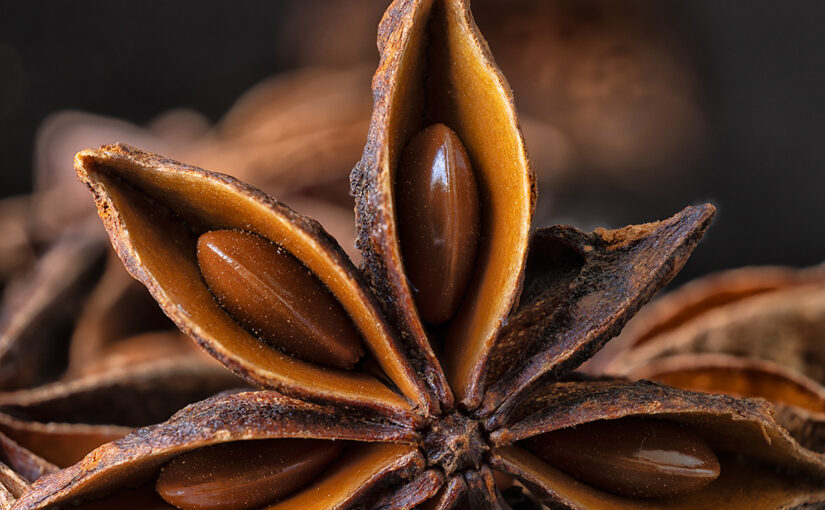 Jun 28 – Spice