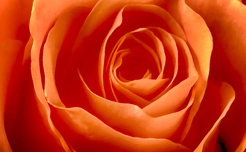 Jul 08 – Shapes in orange