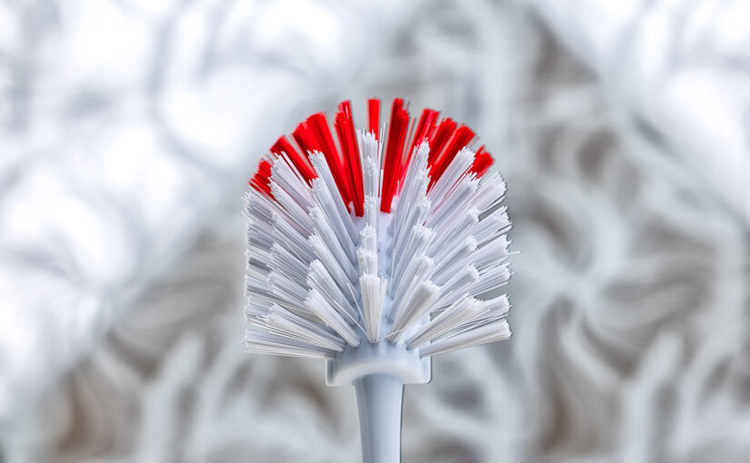 Jul 21 – Brush