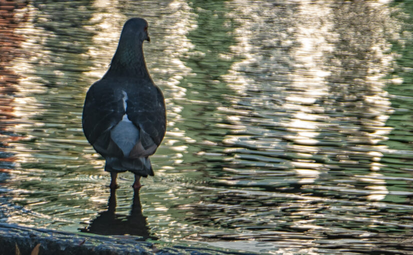 Aug 01 – Morning reflection
