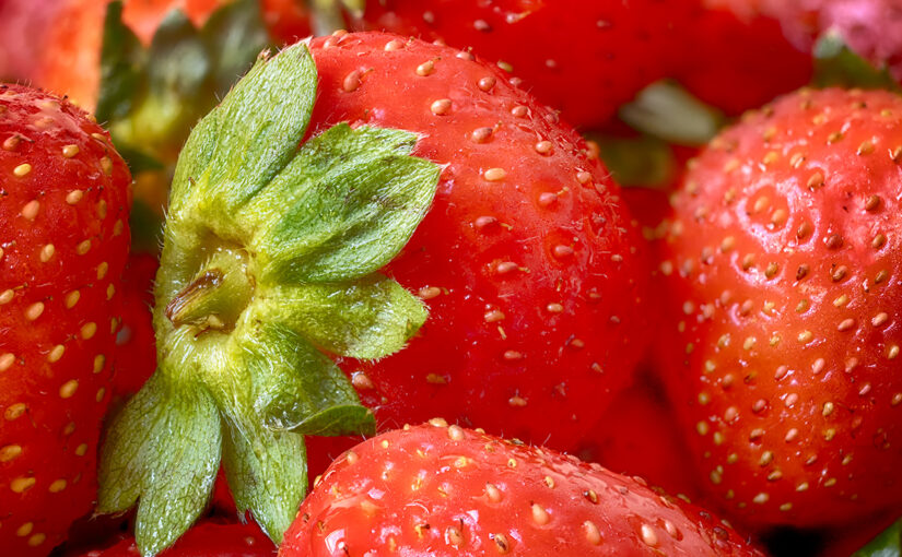 Aug 04 – Red fruit