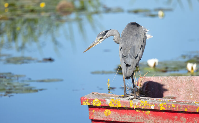 Aug 13 – On a boat