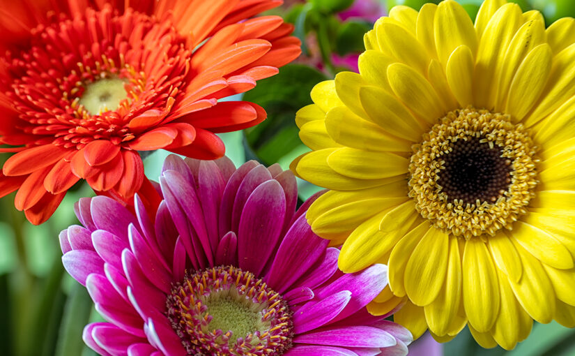 Sep 29 – Colors